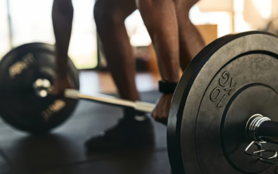 How Impact Training Builds Stronger Joints, Tendons, and Bones