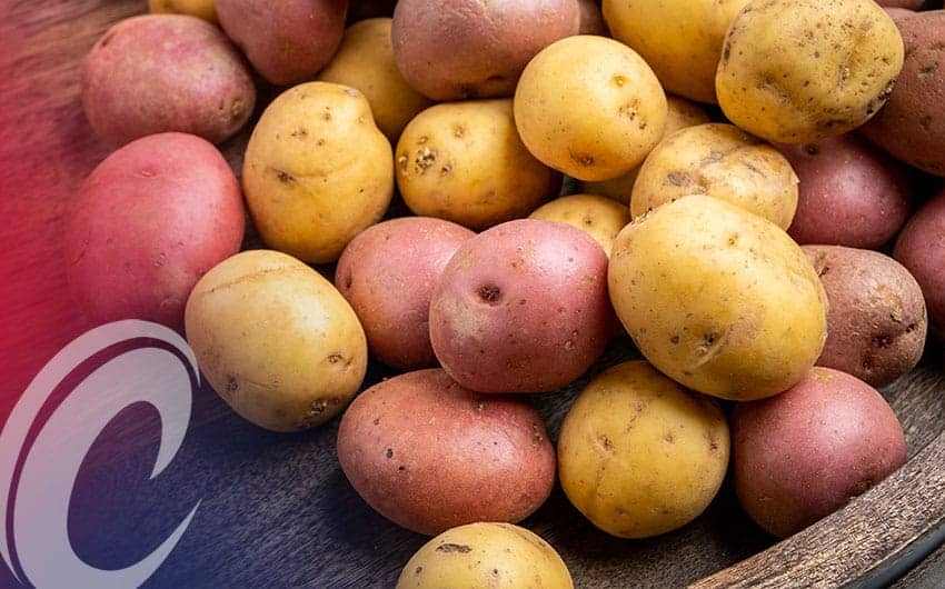 The Potato Debate