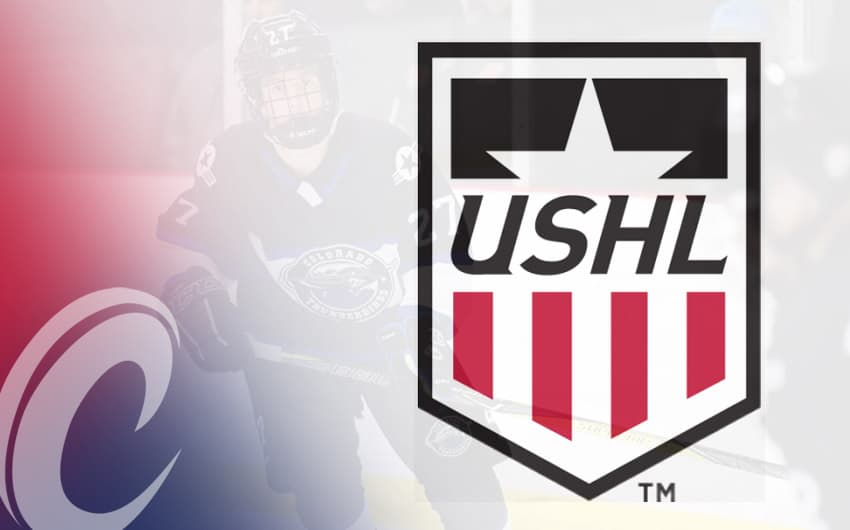 USHL Phase 1 Draft